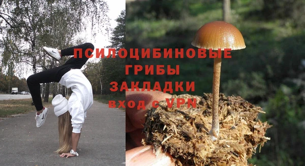 MDMA Premium VHQ Аркадак