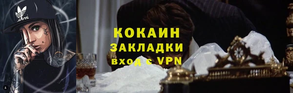 твердый Арсеньев