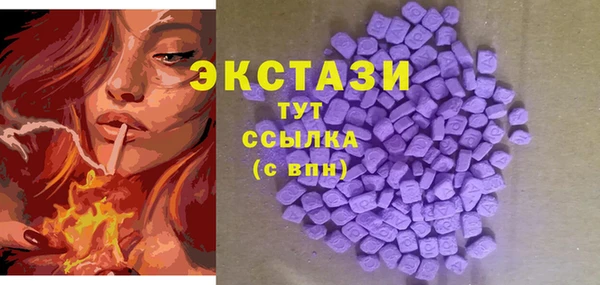 твердый Арсеньев