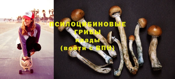 твердый Арсеньев