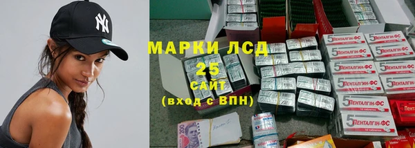 твердый Арсеньев