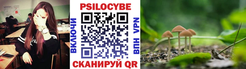 где купить наркоту  блэк спрут ONION  Псилоцибиновые грибы ЛСД  Саров 