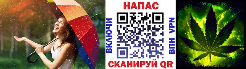 Бошки марихуана конопля  Саров 